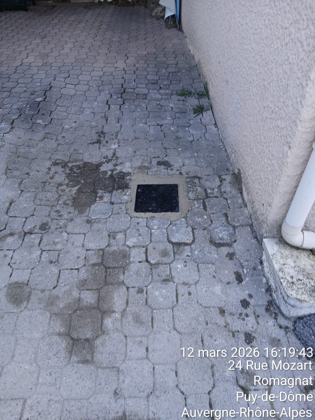 Petit regard noir trouve dans une cour pavee a Romagnat